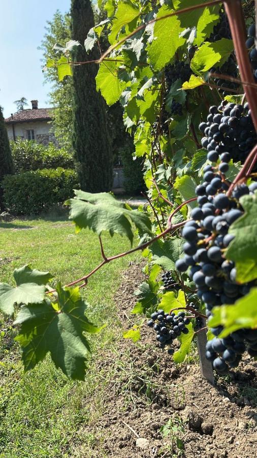 Appartamento Cà Vittoria Desenzano del Garda Esterno foto