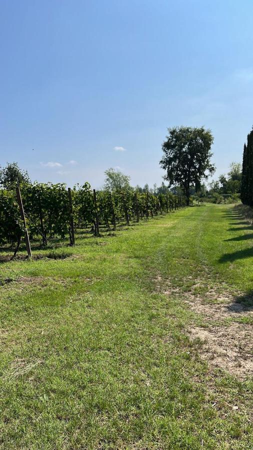 Appartamento Cà Vittoria Desenzano del Garda Esterno foto